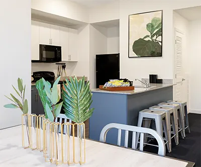 Student 1 Bedroom Apartments