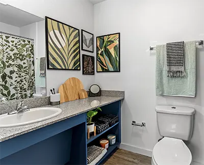 Student 3 Bedroom Apartments